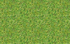 9305_kleewiese