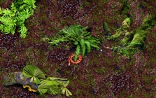 9109_jungle-mit-tieren
